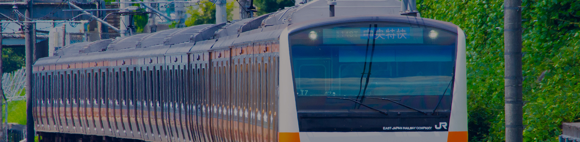 TRAIN ACCESS